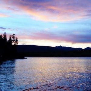 Meet your Posher, Adrienne